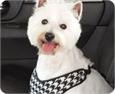 harnesses