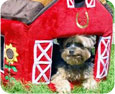 novelty dog beds