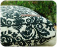 outdoor dog beds