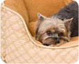 bolster, lounge, snuggle, nest 