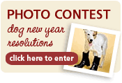 Photo Contest: Enter Now!