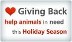 Giving Back: Help animals in need this holiday season