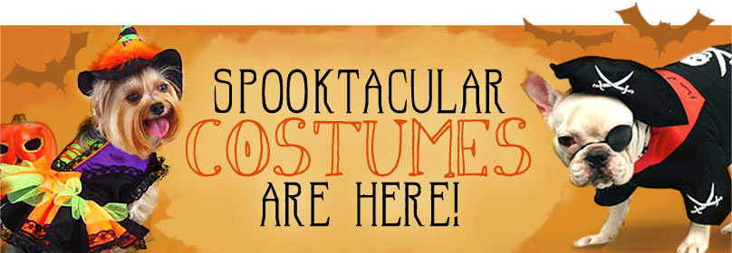 Spooktacular Halloween Costumes Are Here!