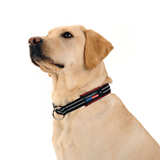 comfortflex dog harness