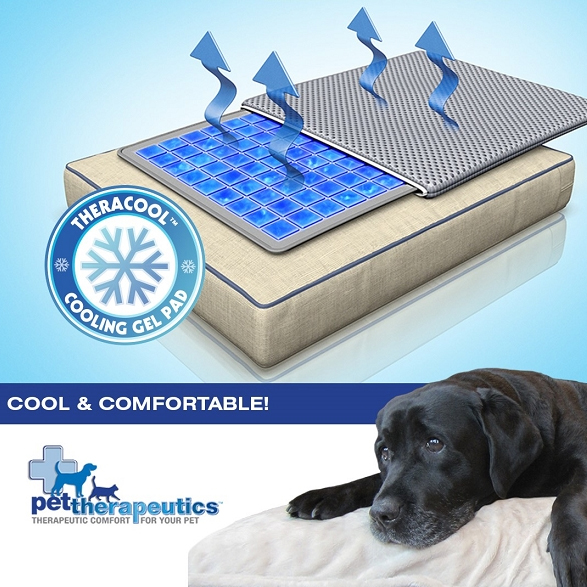 theracool dog bed