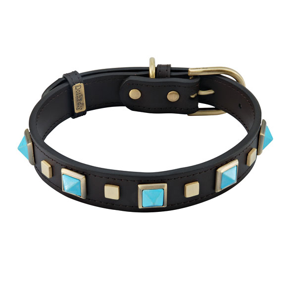 are-rolled-leather-collars-good-for-dogs