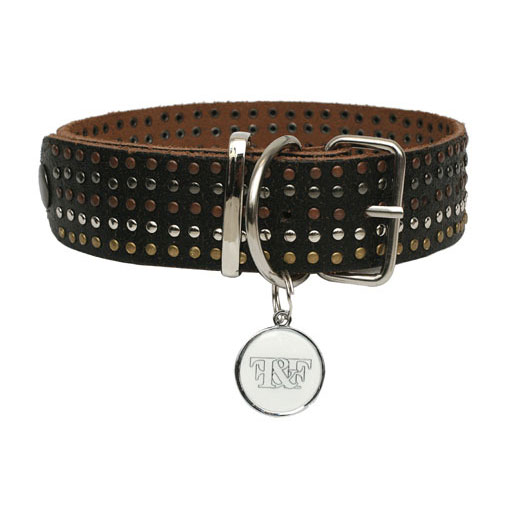 black studded collar