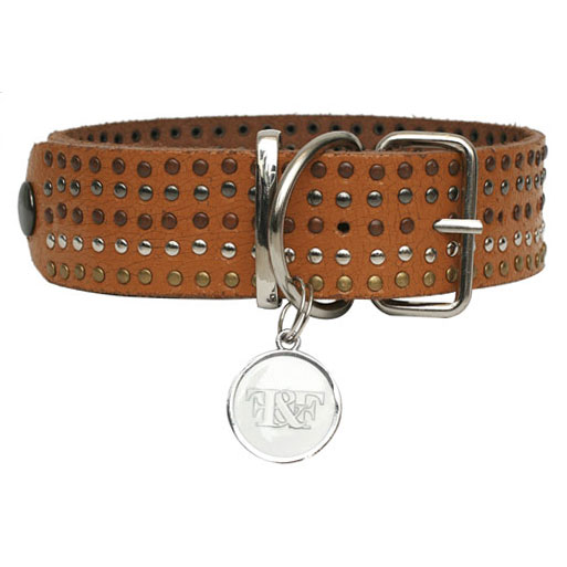 large studded dog collars