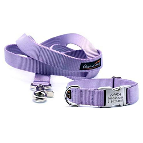 light purple dog collar