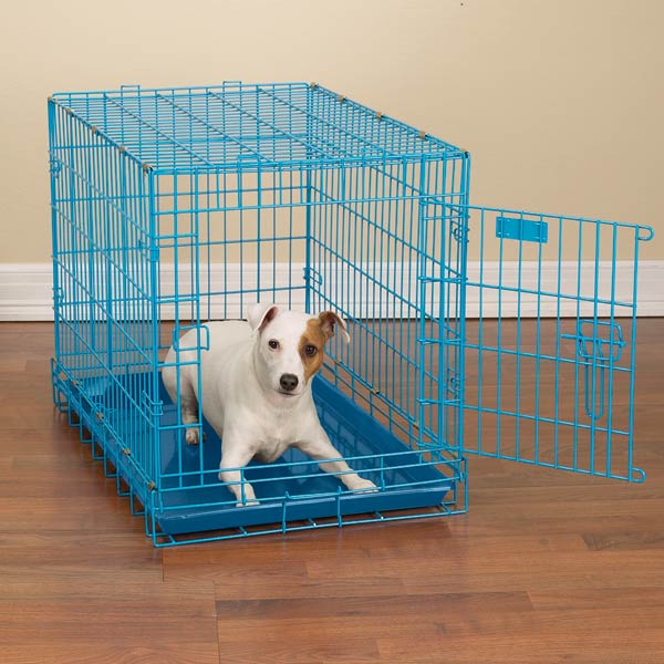 blue dog cage