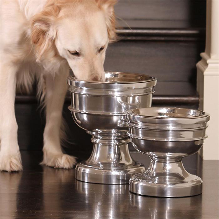 How Tall Should Your Dogs Bowls Be