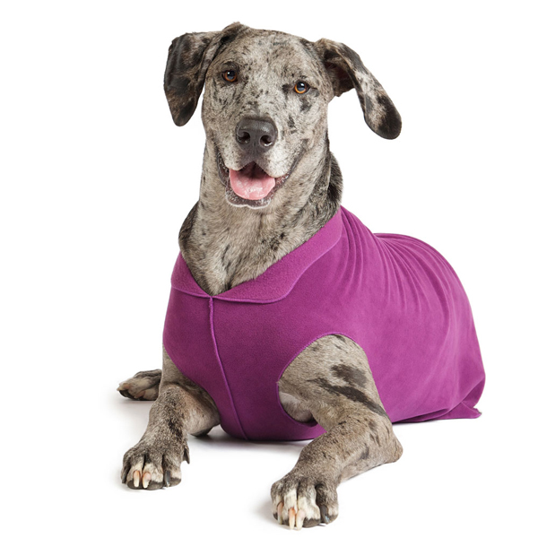 stretch fleece dog sweater