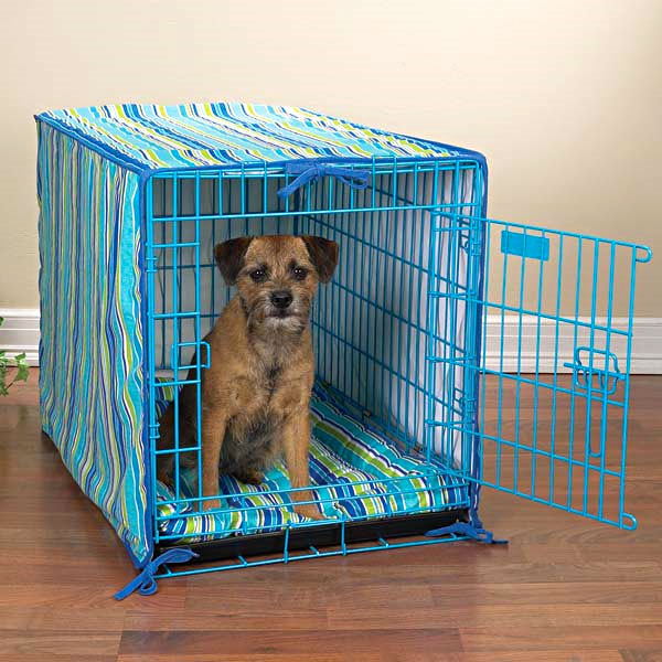 small blue dog crate