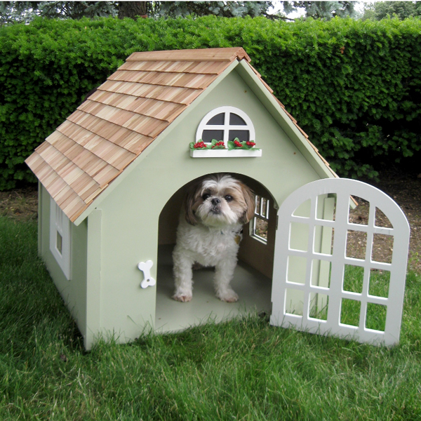 Dog House Cottage Peacecommission kdsg gov ng Dog House Cottage Peacecommission kdsg gov ng