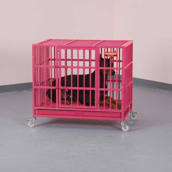 alcatraz dog crate