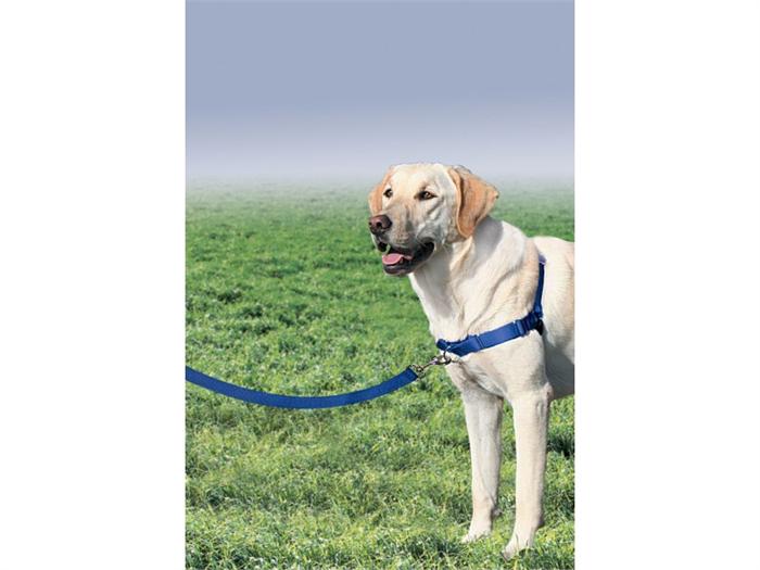 easy walk harness attachment