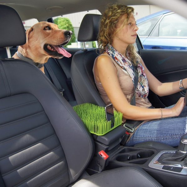 dog shield for car