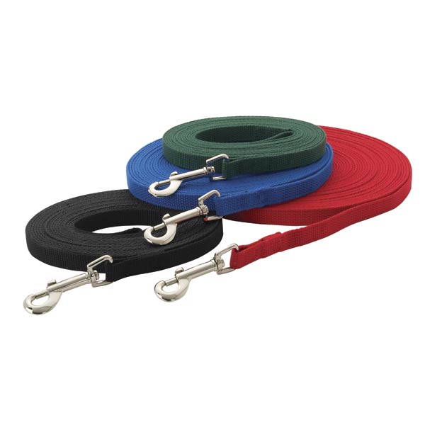 30 ft training leash