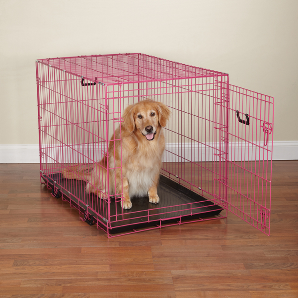 collapsible wire dog crate