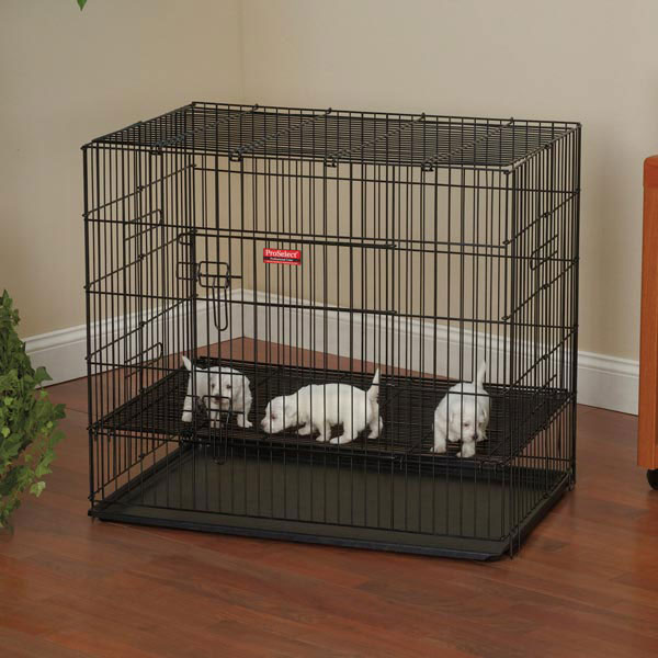 Are Puppy Playpens Worth It