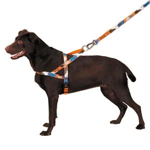 dog harness with grab handle