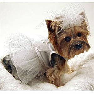 Dog Wedding Dress The Perfect Dog Dress