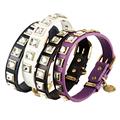 leather dog collars including personalized and bling collars