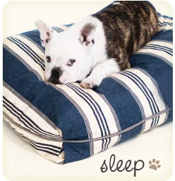 Sleep