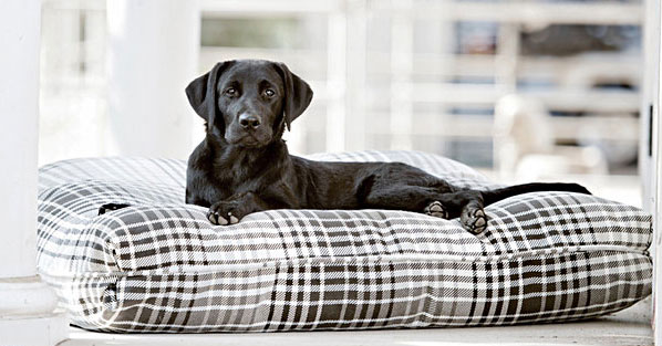 Pillow Dog Bed